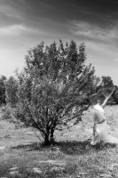 /album/galeria-de-fotos/judithguillentreesensations-jpg/