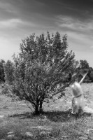 /album/galeria-de-fotos/judithguillentreesensations2-jpg/